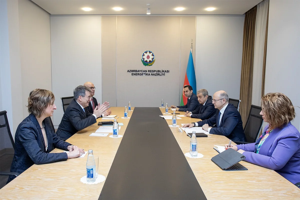 Министр: По TAP в Европу поставлено свыше 45 млрд куб. м азербайджанского газа - ОБНОВЛЕНО