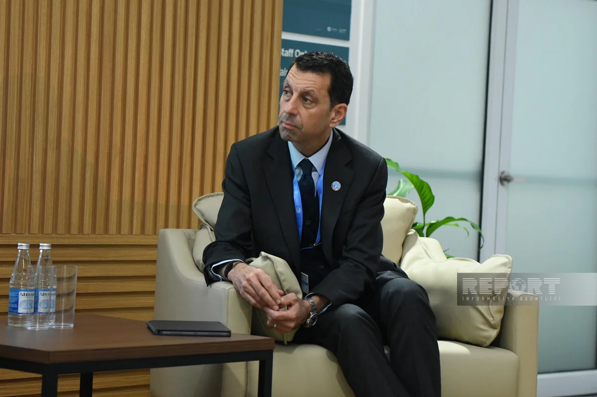 FAO: Carbon emission reduction impossible without tackling agro problems