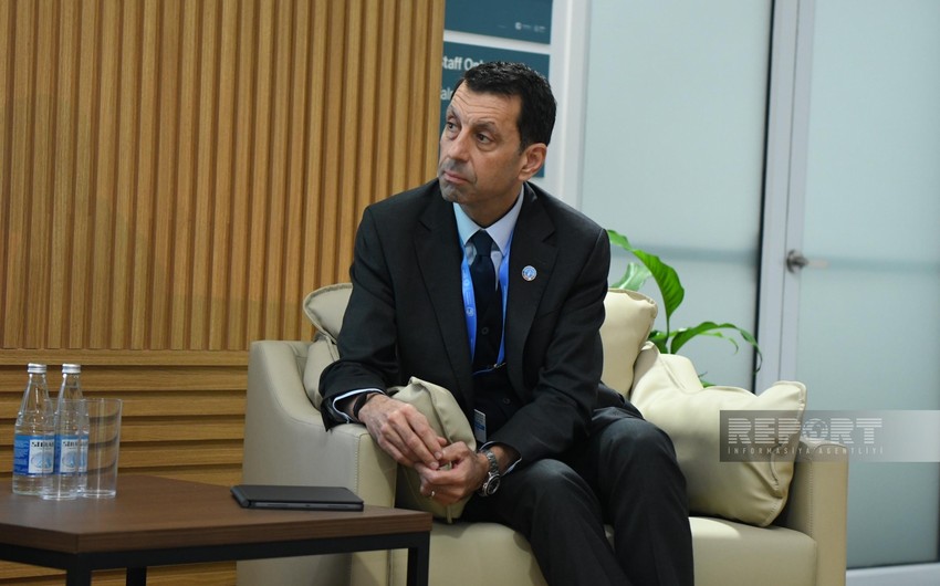 FAO: Kənd təsərrüfatı olmadan karbon qazının təsirlərinin azaldılması hədəfinə çatmaq mümkün olmayacaq