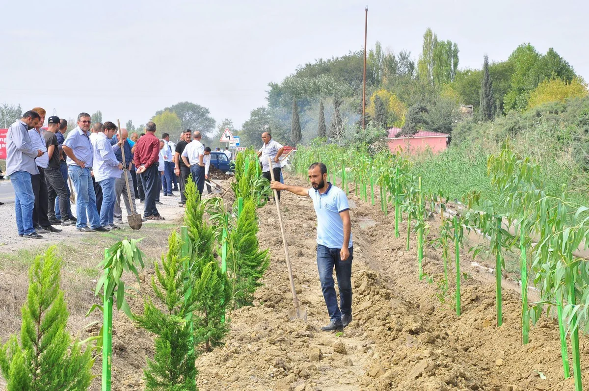 Nazirlik sahibkarlara müraciət etdi