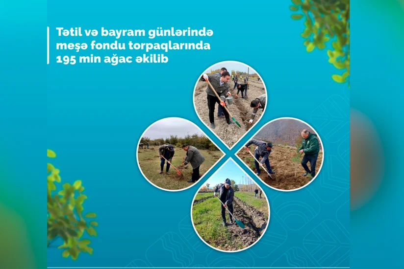 Azərbaycanda tətil və bayram günləri meşə fondu torpaqlarında 195 min ağac əkilib