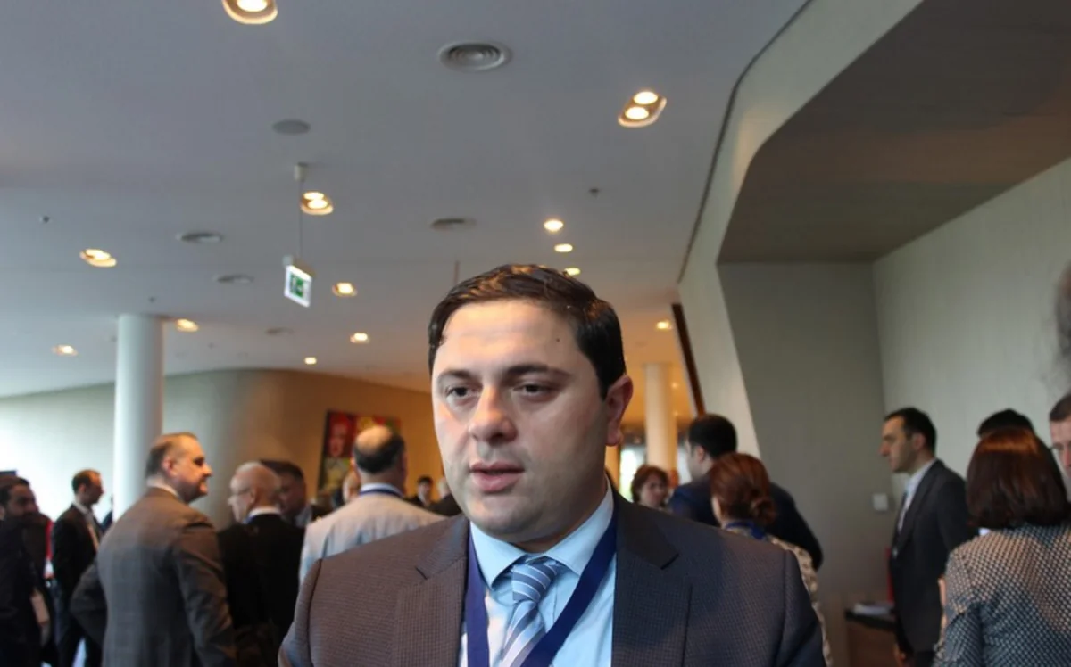 Nazir müavini: “Gürcüstan Cənub Qaz Dəhlizinin inkişafına yönəlmiş təşəbbüsləri dəstəkləyir”