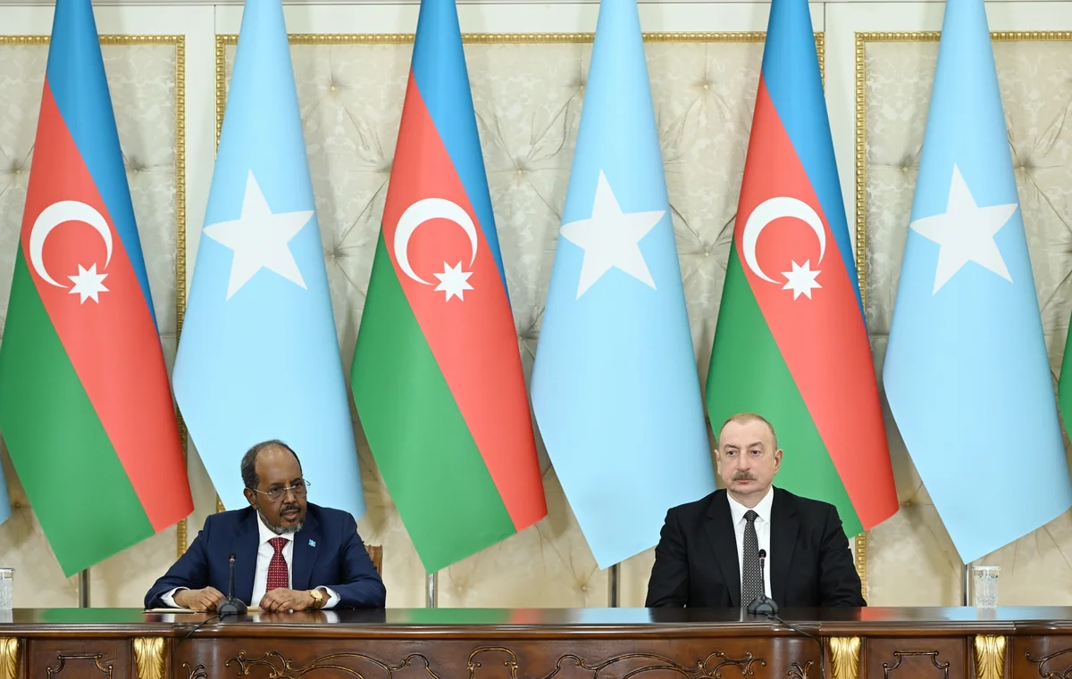 President: Somalia ready to learn from Azerbaijan's practical experience
