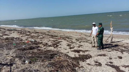 Şirvan Milli Parkında 2 ədəd raket aşkar olunub