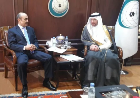 Azerbaijani President's Assistant meets OIC Secretary General