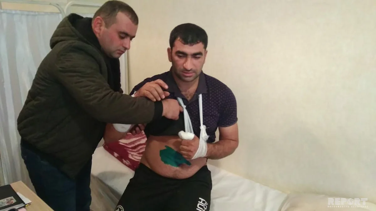 Lənkəran sakininə çaqqallar hücum edib - FOTO