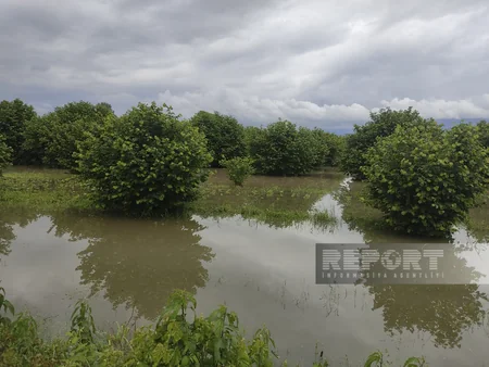 Qaxa dolu yağıb, yağış suları həyətlərə dolub
