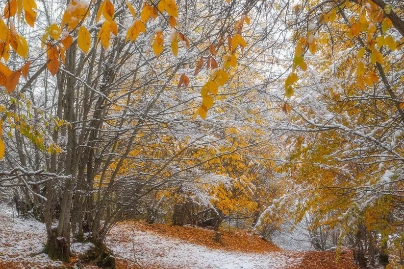 Yağıntılı və küləkli hava şəraiti davam edir, dağlıq ərazilərə qar yağır – FAKTİKİ HAVA