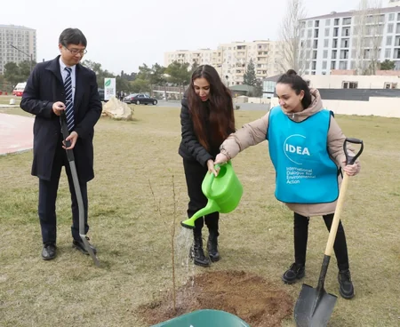 “Yaşıl Marafon 2023” ağacəkmə kampaniyasına start verilib