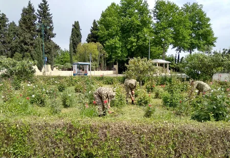 Azərbaycan Ordusunda ümumordu iməciliyi keçirilib