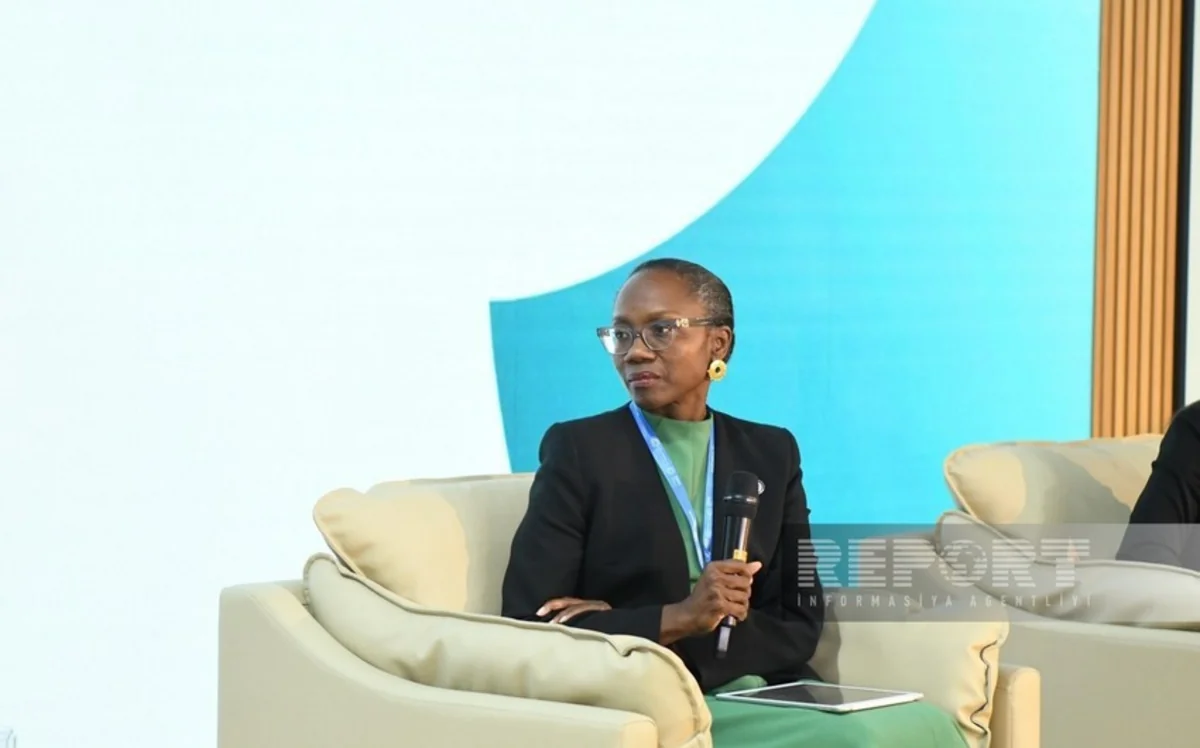 WB confirms support for green energy corridor initiative