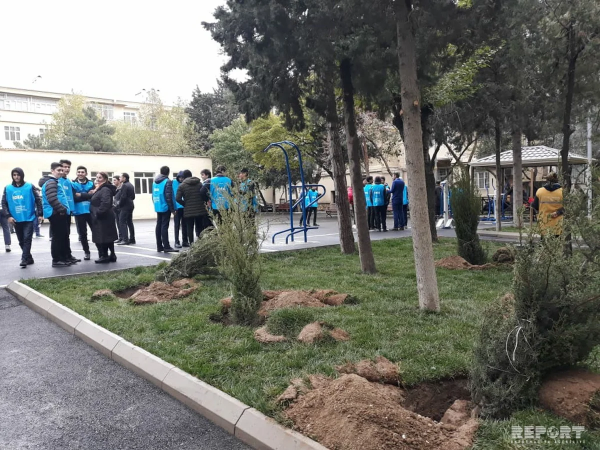 BŞİH: Bakının bütün rayonlarında abadlaşdırma işləri davam etdirilir