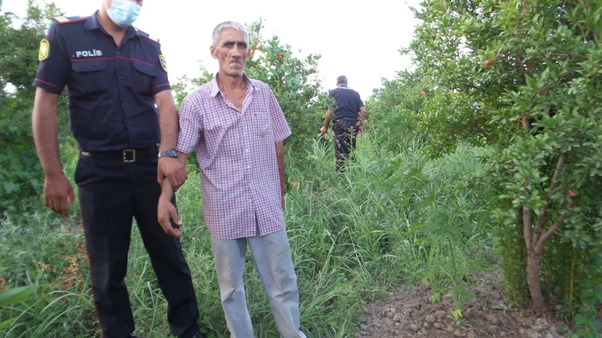 Kürdəmir sakinindən 29 kq-a yaxın narkotik vasitə götürülüb