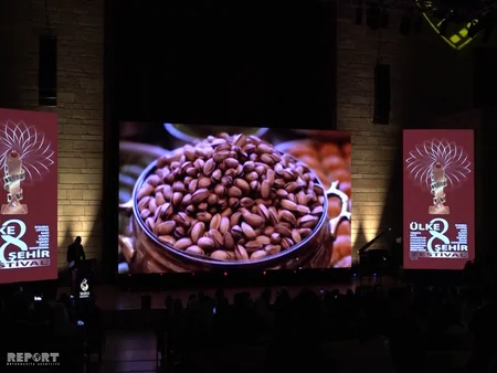 İstanbulda türk dünyasının sənədli film festivalı keçirilib - FOTO