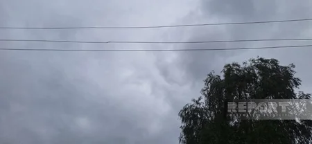 Lənkəranda çayda balıq tutan gənci elektrik cərəyanı vuraraq öldürüb