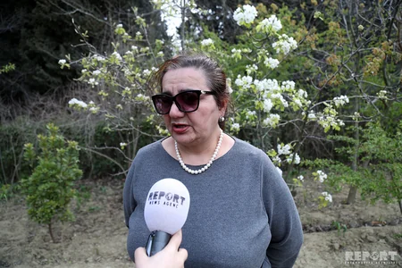 “Sakura ağaclarının Azərbaycanda çıçəklənməsi” adlı tədbir keçirilib