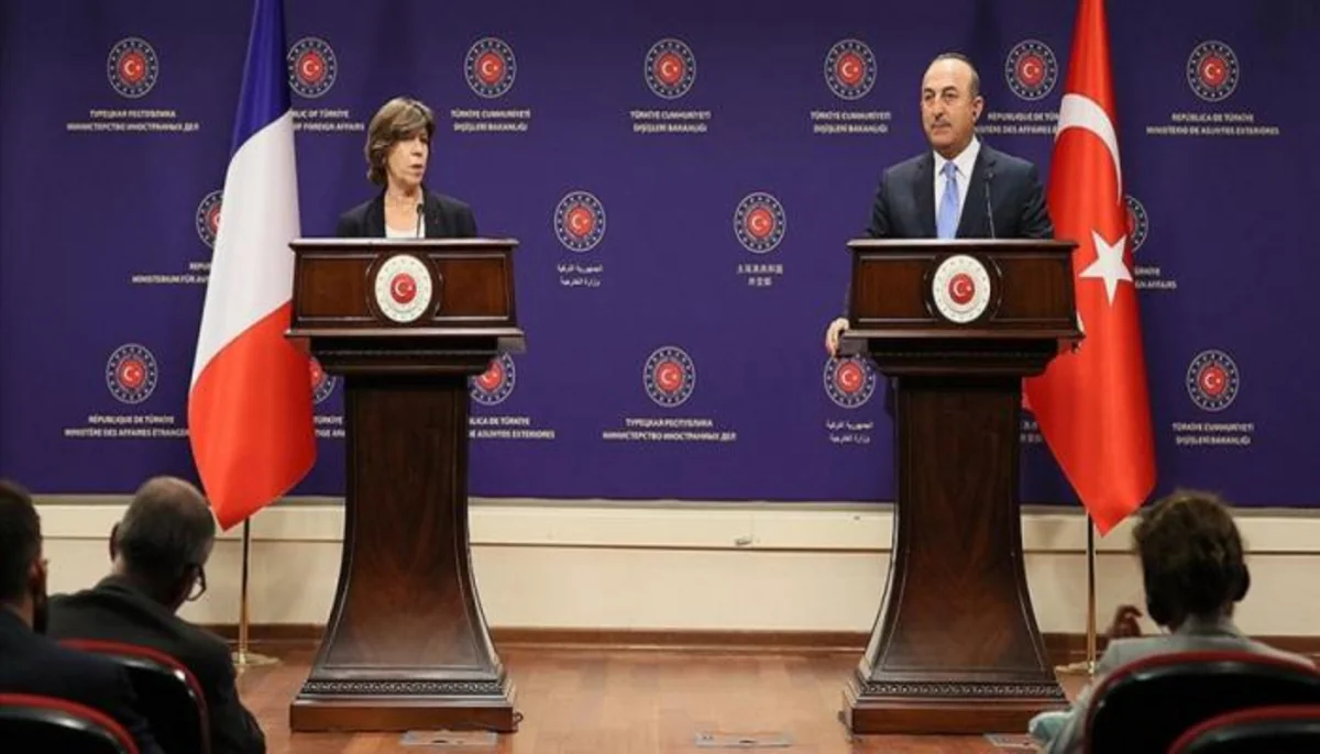 Turkish, French FMs discuss current situation in South Caucasus