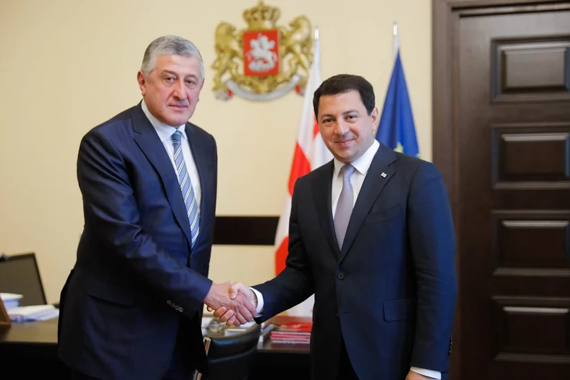 Gürcüstan parlamentinin sədri Azərbaycan səfiri ilə vida görüşü keçirib