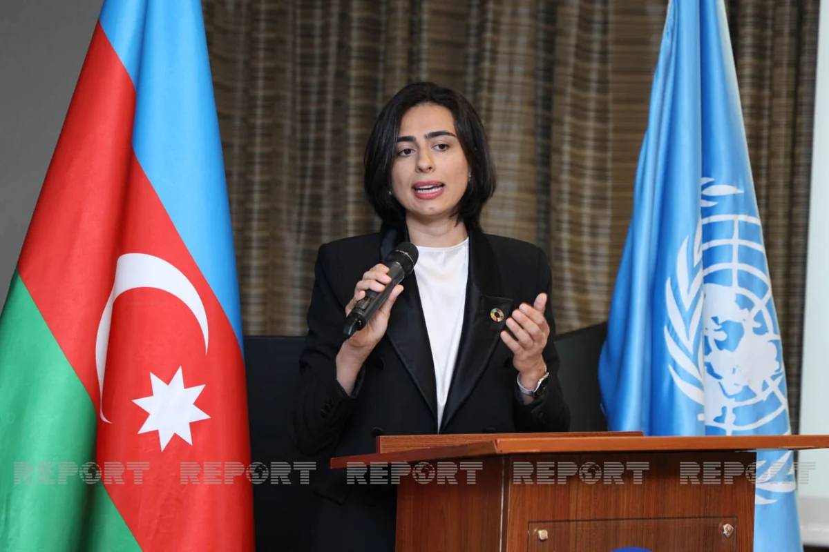 UNDP supports Azerbaijan's work in field of legal services