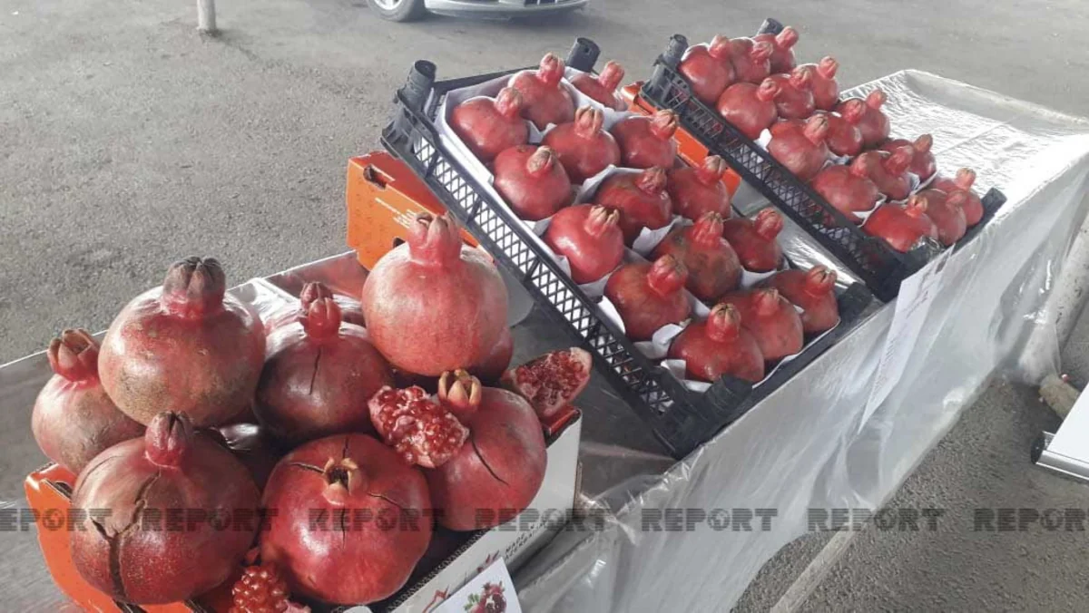 Kürdəmirdə Nar Sərgi-Satış Yarmarkası keçirilib