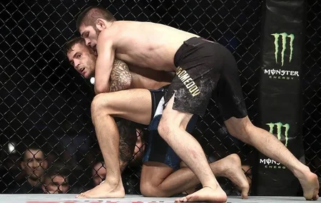 Həbib Nurməhəmmədov Dastin Poryeyə qalib gəlib - VİDEO