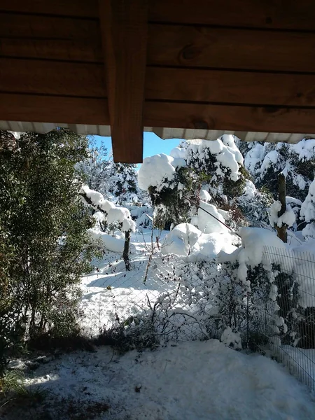 Extreme cold weather in Argentina claims 7 lives