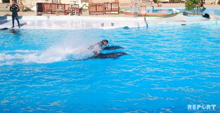 Qırmızı dəniz sahilindəki ecazkar və nadir gülləri ilə məşhur şəhərdən - REPORTAJ