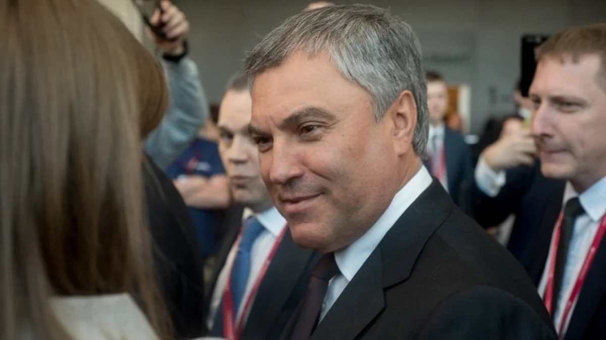 Володин встретился в Анкаре с Эрдоганом