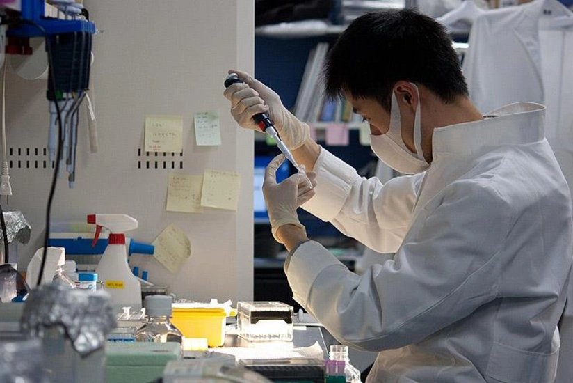 Alimlər: Şəkər xərçəng hüceyrələrinin inkişafına yardım edir