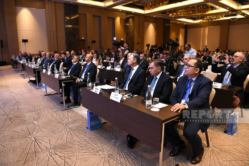 “Roots of Peace” təşkilatının rəhbəri: “Qarabağda kənd təsərrüfatına yararlı torpaqlarda xeyli mina basdırılıb”