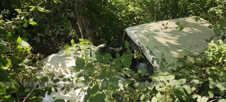 Şəkidə avtomobil ağaca çırpılıb, xəsarət alanlar var