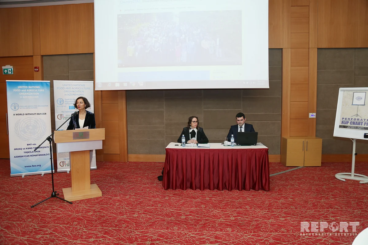 Azərbaycanda “CountrySTAT” platformasının rəsmi açılışı keçirilib