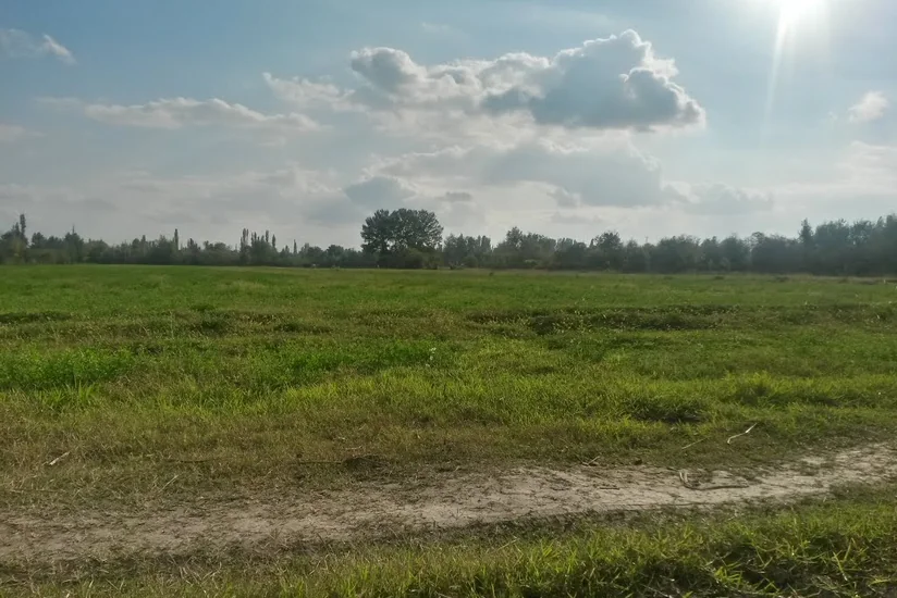 ​Neftçalada itkin düşən rayon sakini otlaqda huşsuz vəziyyətdə tapılıb