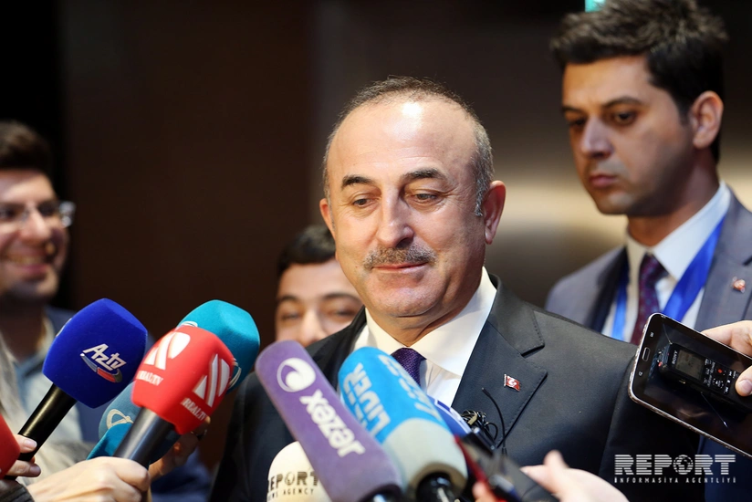 Çavuşoğlu: Turkey to use Akkuyu NPP only for peaceful purposes