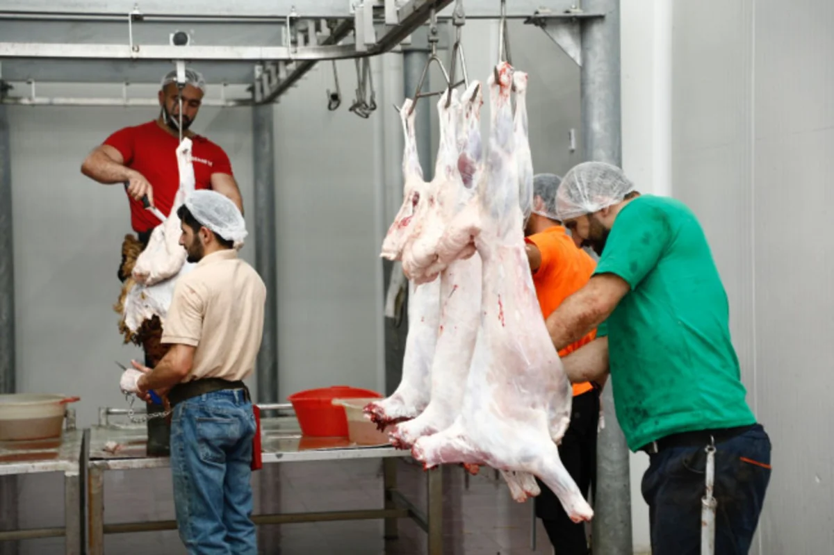 Naxçıvanda qurbanlıq heyvanların satış və kəsim yerləri açıqlanıb