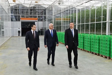 Prezident İlham Əliyev Zirə qəsəbəsində “BAKU AGROPARK”da görülən işlərlə tanış olub