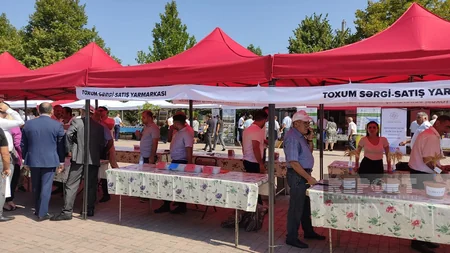 Şəkidə Aqrar İnnovasiya Festivalı və toxum yarmarkası keçirilib
