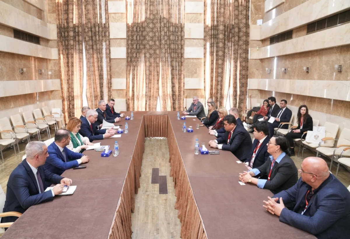 Mazahir Panahov meets with CEC representatives of several countries