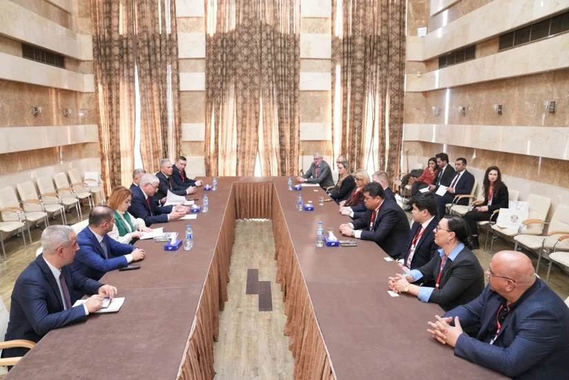 Mazahir Panahov meets with CEC representatives of several countries