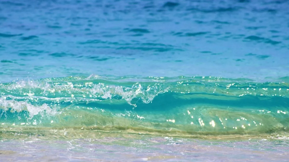 Sabah Abşeron çimərliklərində dəniz suyunun temperaturu 20-21 isti olacaq