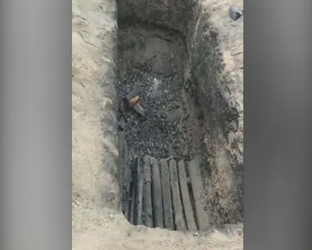 В Габале выявлено незаконное производство древесного угля