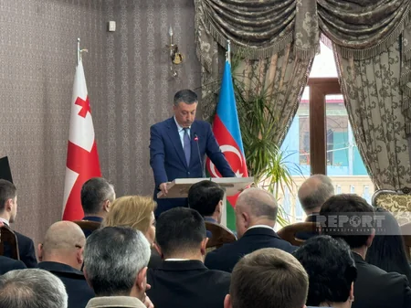 Tbilisidə Qərbi Azərbaycan, soyqırımı və mina probleminə dair konfrans keçirilib