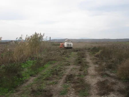 ANAMA Cocuq Mərcanlıda aparılan təmizləmə əməliyyatları barədə məlumat yayıb