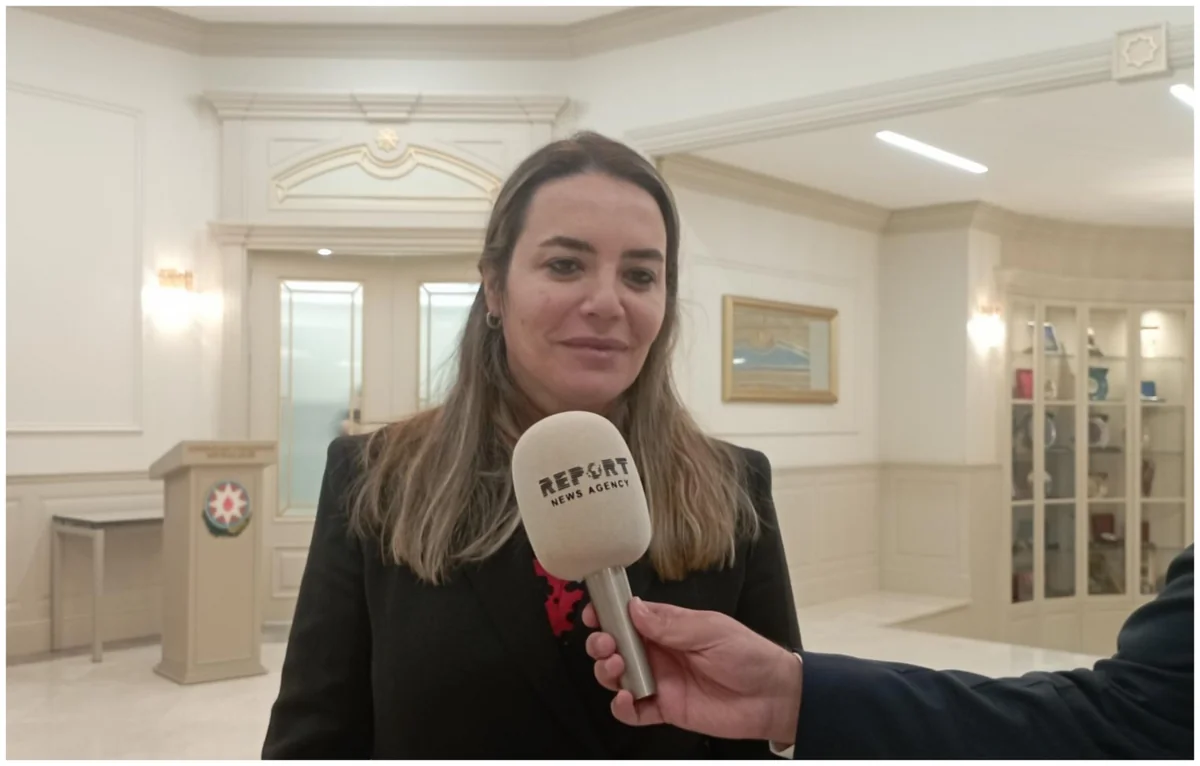 Turkish MP: Central Asian countries should follow Azerbaijan's example in supporting Northern Cyprus