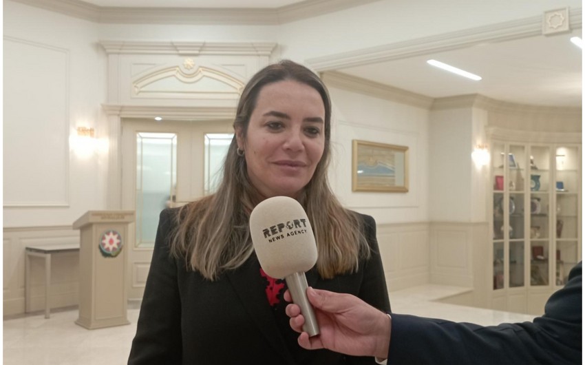 Turkish MP: Central Asian countries should follow Azerbaijan's example in supporting Northern Cyprus