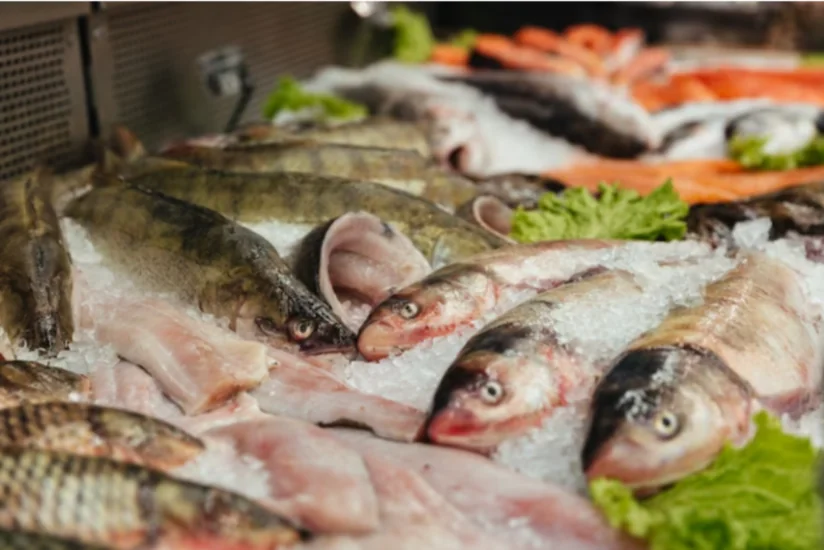 Министры иностранных дел Китая и Японии обсудят запрет на ввоз морепродуктов
