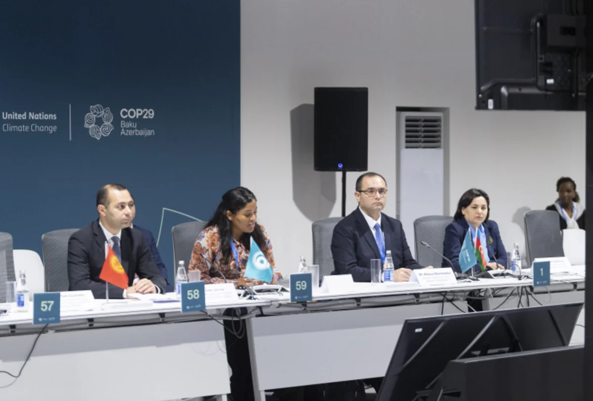Baku hosts panel discussions on 'From Global Goals to Local Action' as part of COP29
