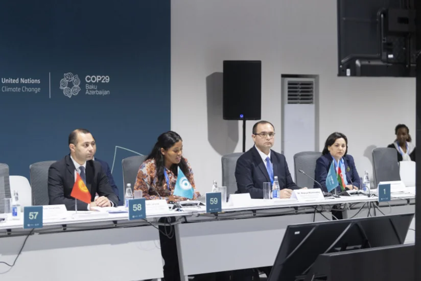 Baku hosts panel discussions on 'From Global Goals to Local Action' as part of COP29