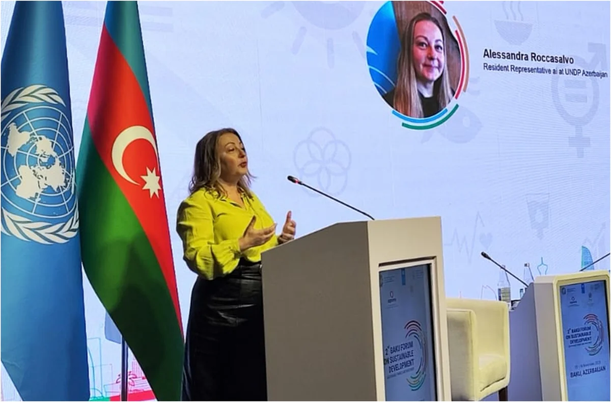 BMT rəsmisi: Minaların basdırıldığı yerlər haqqında məlumatların olmaması Qarabağa məcburi köçkünün qayıtmasına maneədir
