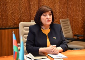 Spiker: Ermənistan azad olunmuş ərazilərimizə terrorçular göndərir, sərhəddə təxribatlar törədir